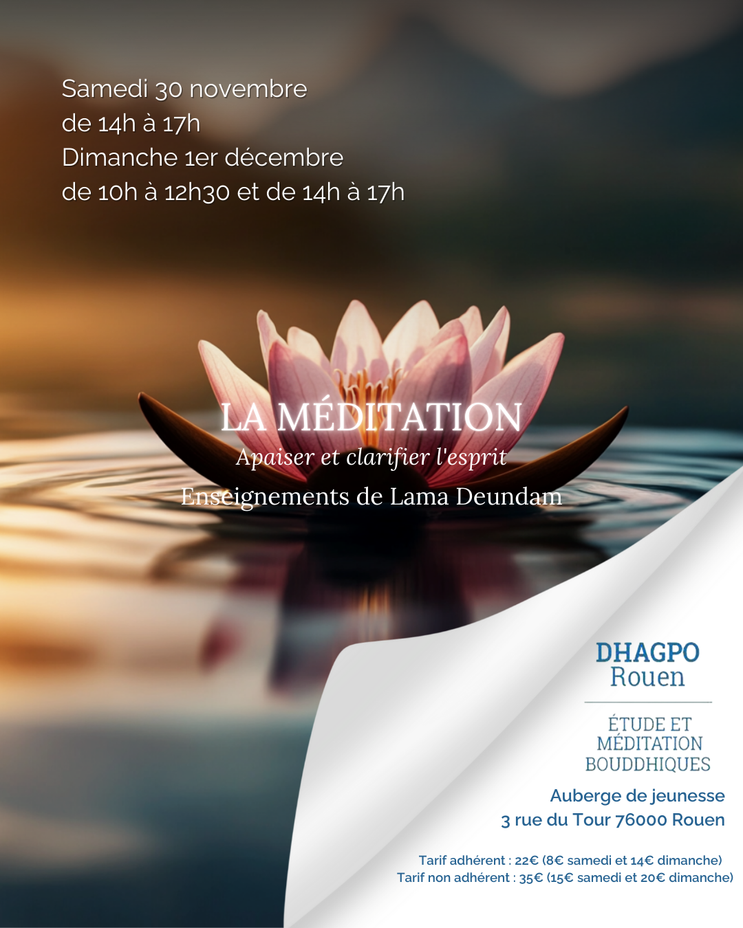 un magnifique lotus illustrant le calme de la méditation_Enseignements sur la méditation_ dhagpo Rouen